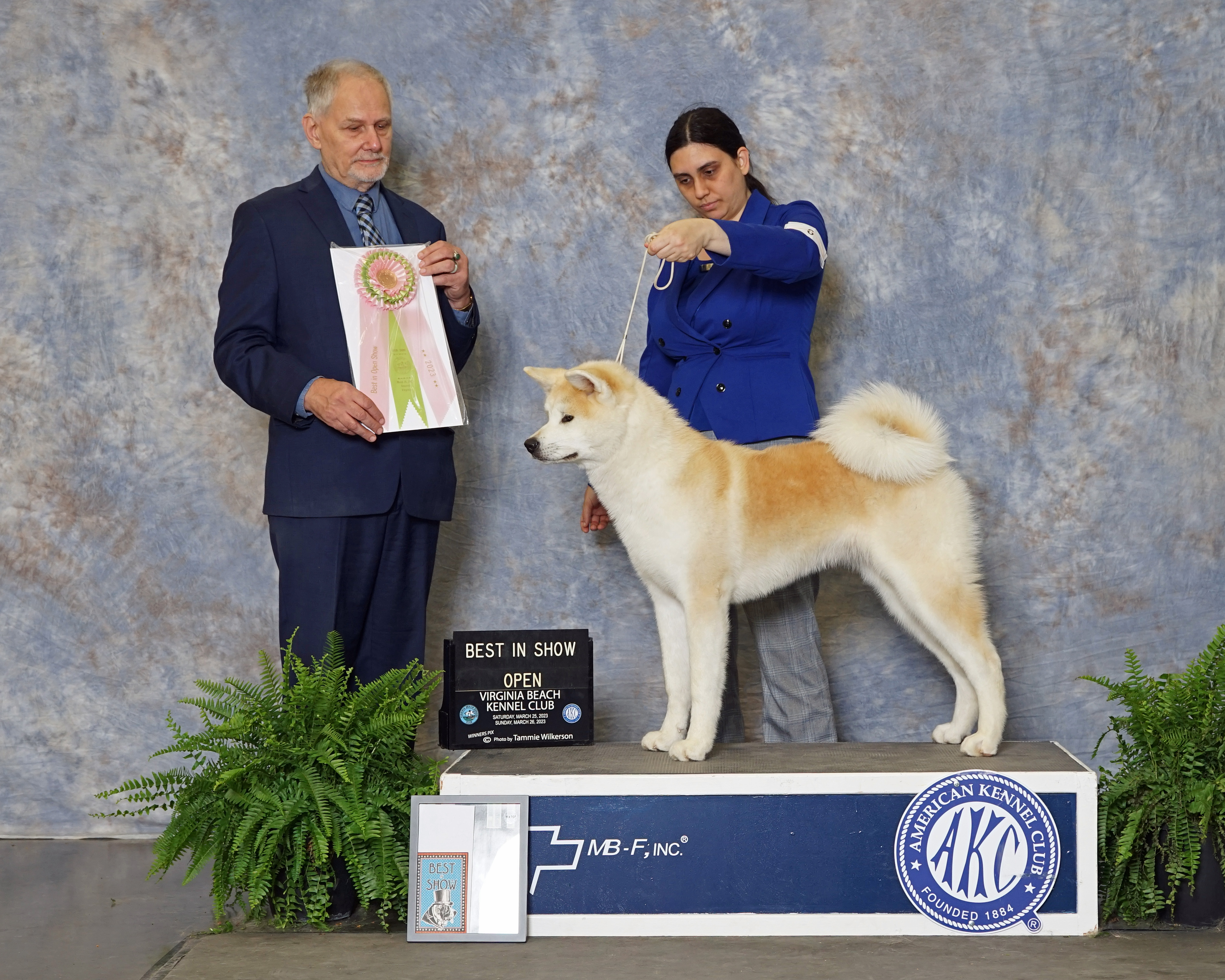 AKC Show - Misc Class: Best in Open Show - Kupala - 6 Months Old