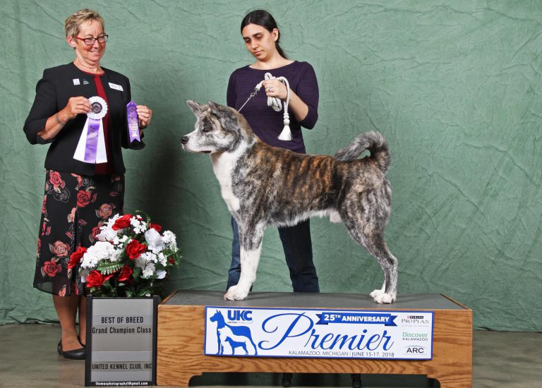 Professional shot with Judge Polly A. Dake-Jones showing off his Best of Breed and Grand Champion Class win